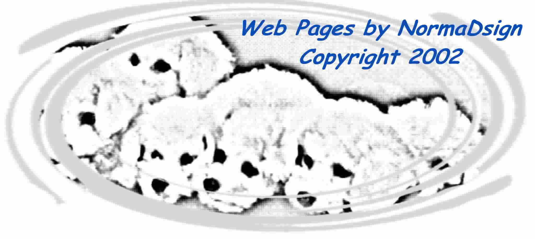 Copyright 2006, NormaDsign, All Rights Reserved